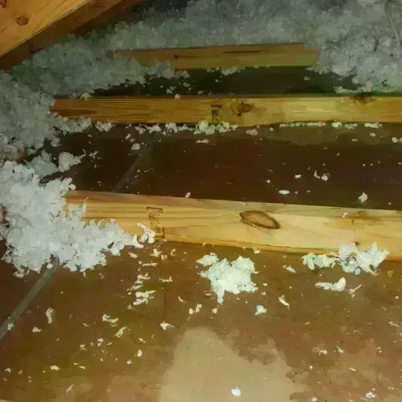 Attic Water Damage in South Greeley, WY