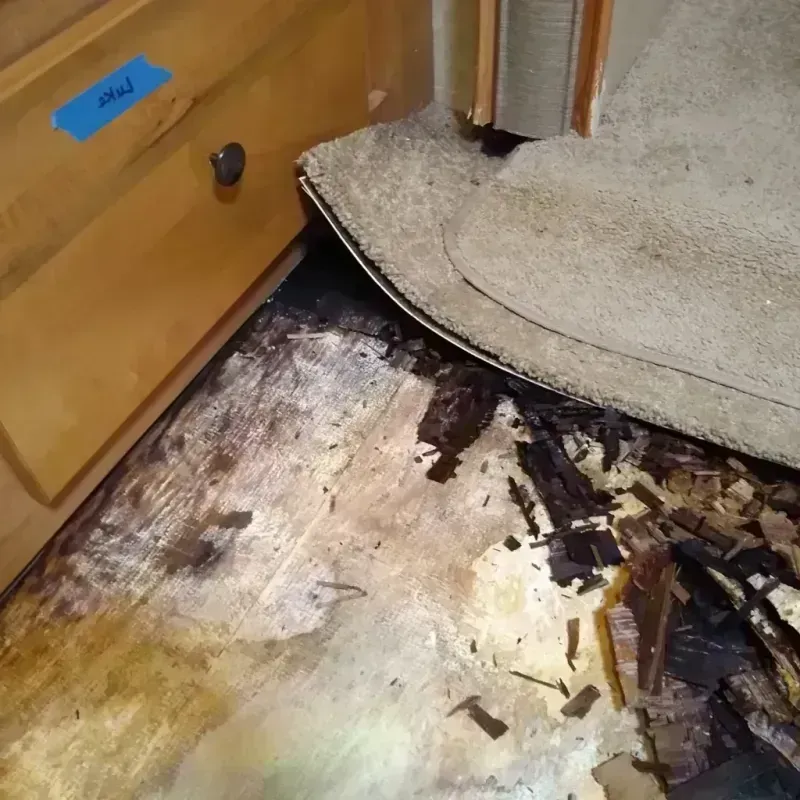 Wood Floor Water Damage in South Greeley, WY